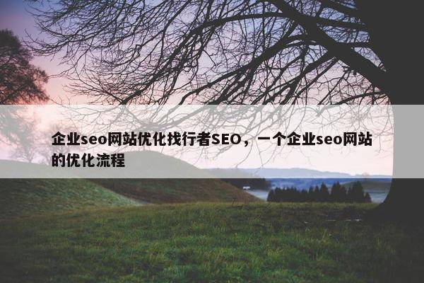 企业seo网站优化找行者SEO，一个企业seo网站的优化流程