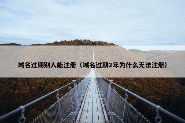 域名过期别人能注册（域名过期2年为什么无法注册）