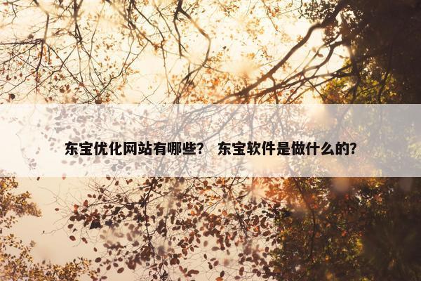 东宝优化网站有哪些？ 东宝软件是做什么的？