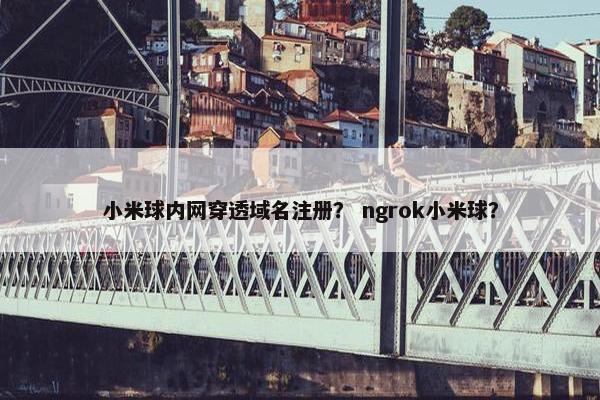 小米球内网穿透域名注册？ ngrok小米球？