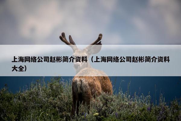 上海网络公司赵彬简介资料（上海网络公司赵彬简介资料大全）