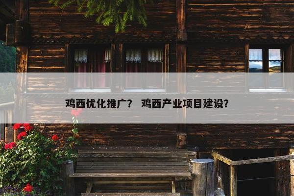 鸡西优化推广？ 鸡西产业项目建设？