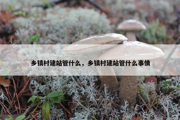 乡镇村建站管什么，乡镇村建站管什么事情