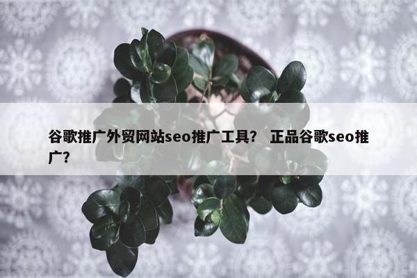 谷歌推广外贸网站seo推广工具？ 正品谷歌seo推广？