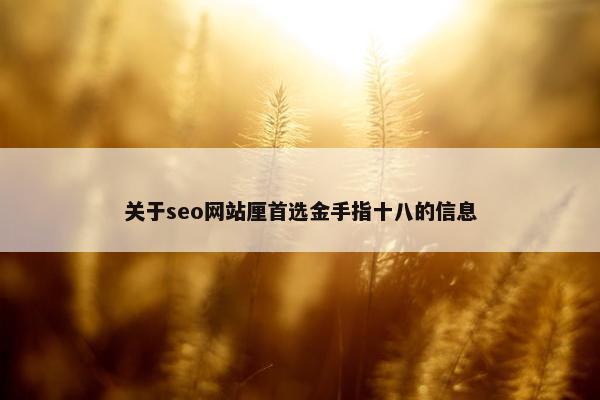 关于seo网站厘首选金手指十八的信息