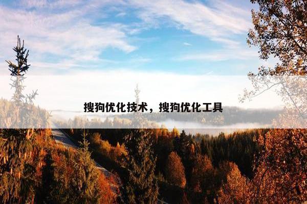 搜狗优化技术，搜狗优化工具