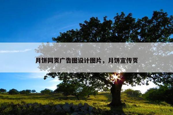 月饼网页广告图设计图片，月饼宣传页