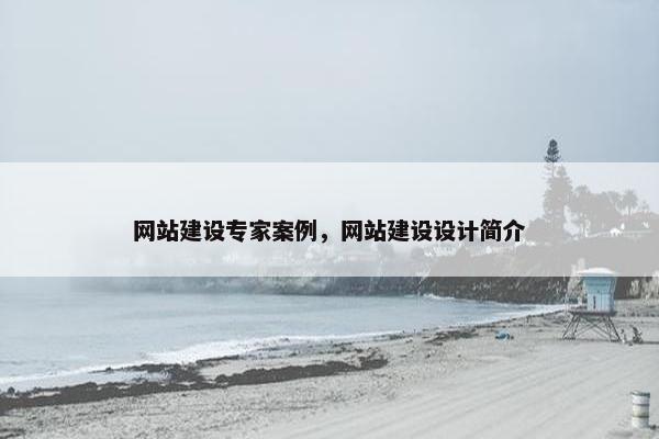网站建设专家案例，网站建设设计简介
