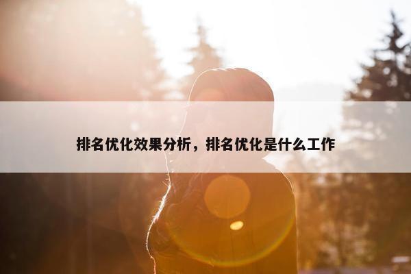 排名优化效果分析，排名优化是什么工作