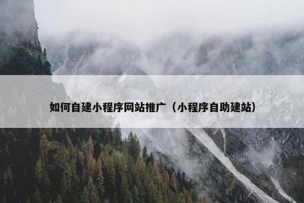 如何自建小程序网站推广（小程序自助建站）