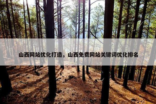 山西网站优化打造，山西免费网站关键词优化排名