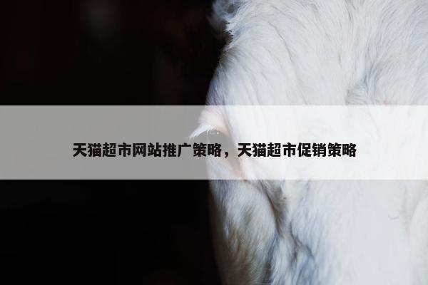 天猫超市网站推广策略，天猫超市促销策略