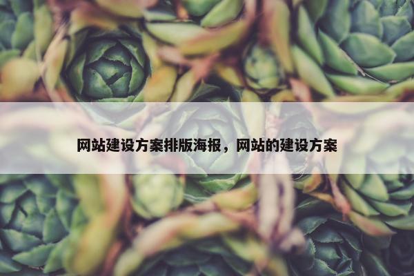 网站建设方案排版海报，网站的建设方案