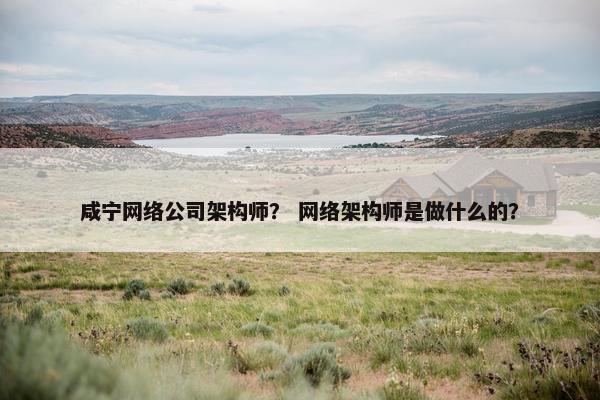 咸宁网络公司架构师？ 网络架构师是做什么的？