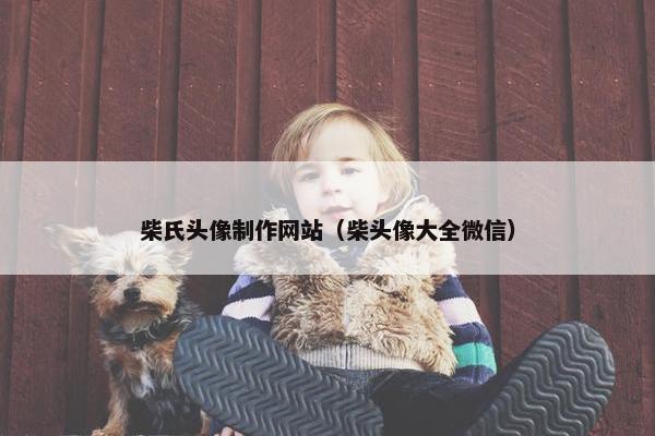 柴氏头像制作网站（柴头像大全微信）