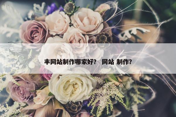 丰网站制作哪家好？ 网站 制作？
