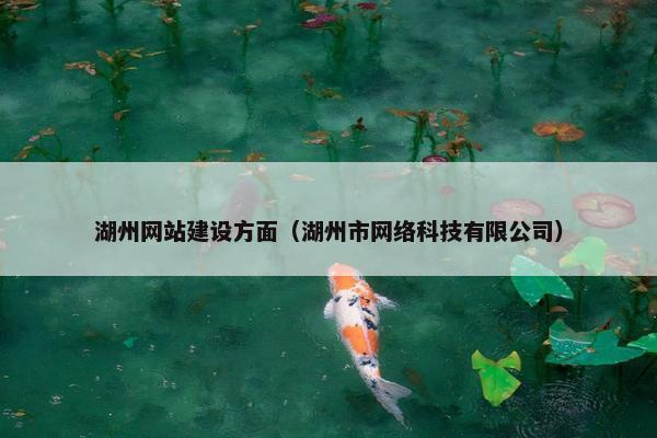 湖州网站建设方面（湖州市网络科技有限公司）