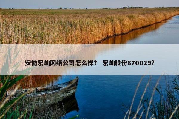 安徽宏灿网络公司怎么样？ 宏灿股份870029？