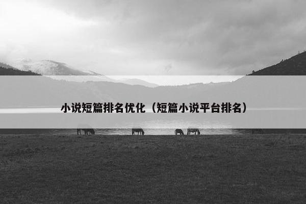 小说短篇排名优化（短篇小说平台排名）