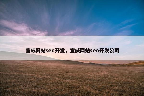 宣威网站seo开发，宣威网站seo开发公司