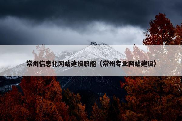 常州信息化网站建设职能（常州专业网站建设）