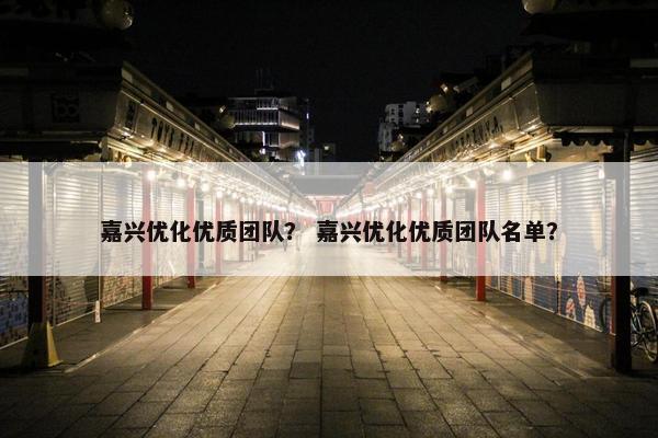 嘉兴优化优质团队？ 嘉兴优化优质团队名单？