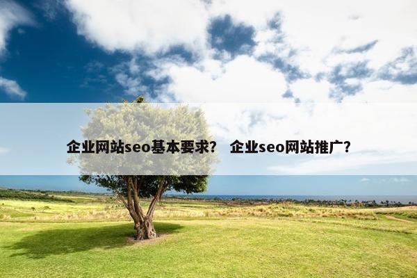 企业网站seo基本要求？ 企业seo网站推广？