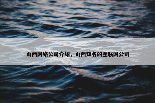 山西网络公司介绍，山西知名的互联网公司