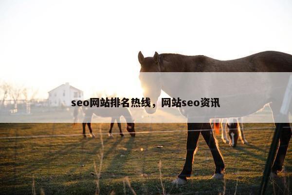 seo网站排名热线，网站seo资讯