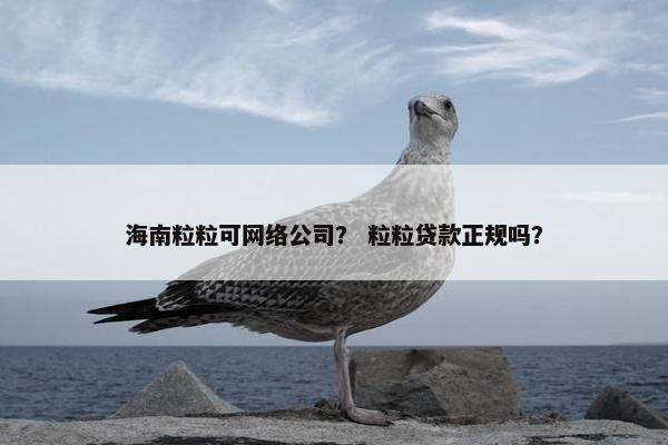 海南粒粒可网络公司？ 粒粒贷款正规吗？