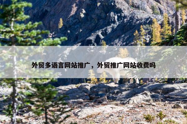 外贸多语言网站推广，外贸推广网站收费吗