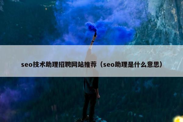 seo技术助理招聘网站推荐（seo助理是什么意思）