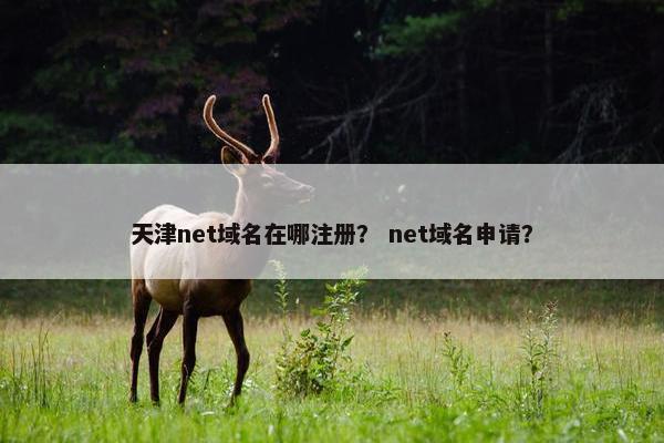 天津net域名在哪注册？ net域名申请？