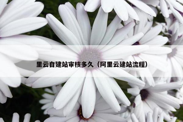 里云自建站审核多久（阿里云建站流程）