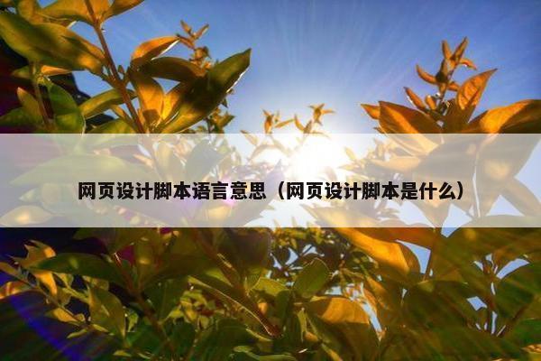 网页设计脚本语言意思（网页设计脚本是什么）