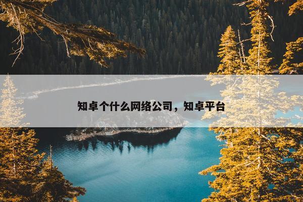 知卓个什么网络公司，知卓平台