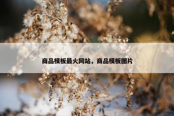 商品模板最火网站，商品模板图片