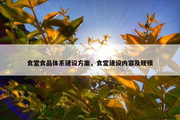 食堂食品体系建设方案，食堂建设内容及规模