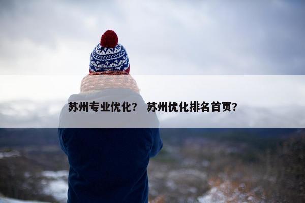 苏州专业优化？ 苏州优化排名首页？
