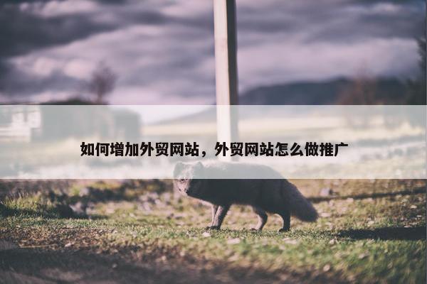 如何增加外贸网站，外贸网站怎么做推广