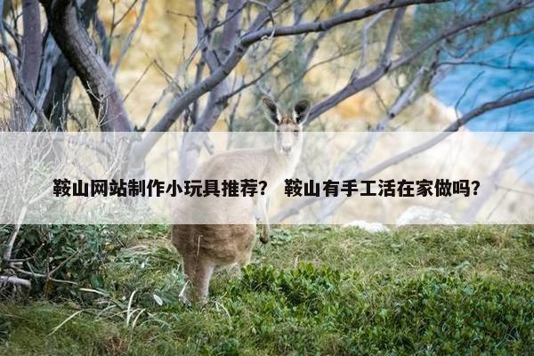 鞍山网站制作小玩具推荐？ 鞍山有手工活在家做吗？