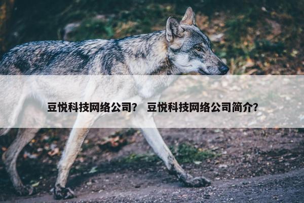 豆悦科技网络公司？ 豆悦科技网络公司简介？