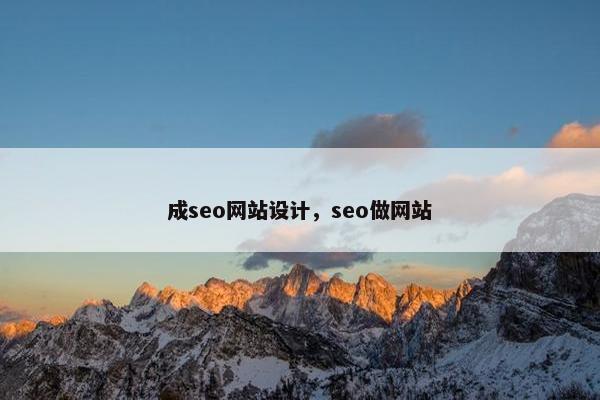 成seo网站设计，seo做网站