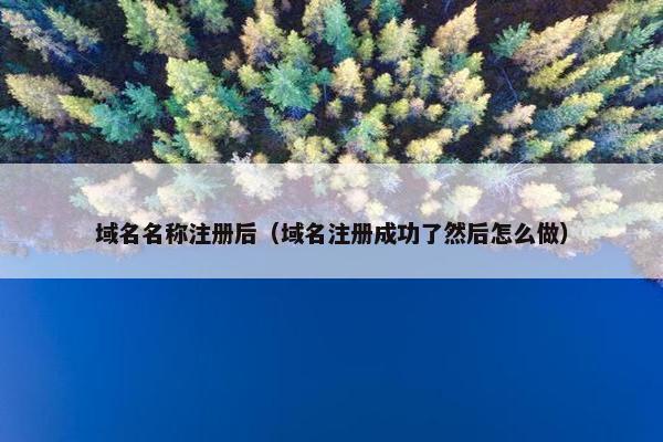 域名名称注册后（域名注册成功了然后怎么做）