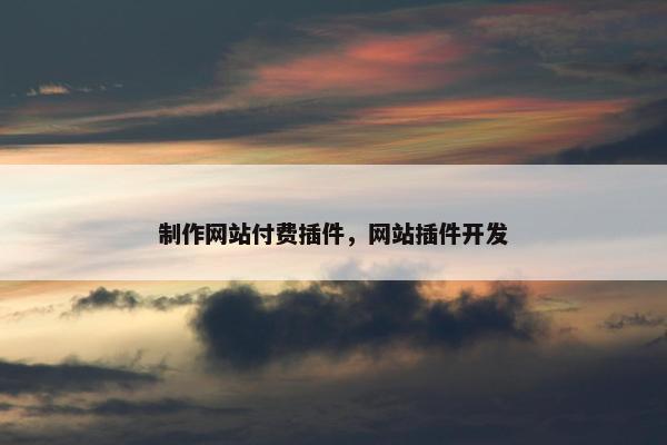 制作网站付费插件，网站插件开发