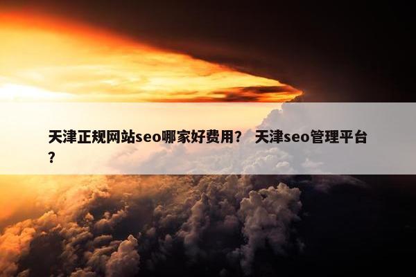 天津正规网站seo哪家好费用？ 天津seo管理平台？