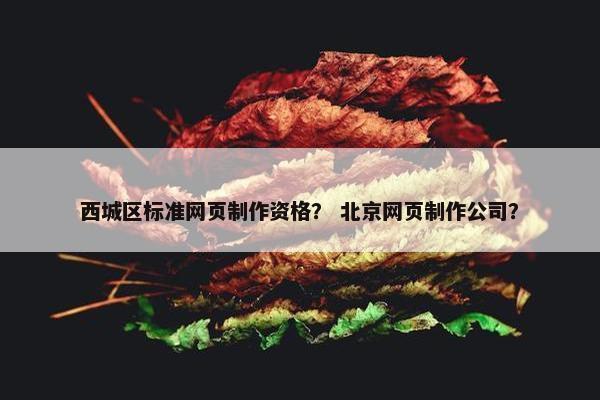 西城区标准网页制作资格？ 北京网页制作公司？