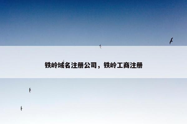 铁岭域名注册公司，铁岭工商注册