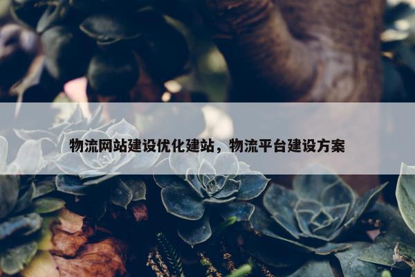 物流网站建设优化建站，物流平台建设方案
