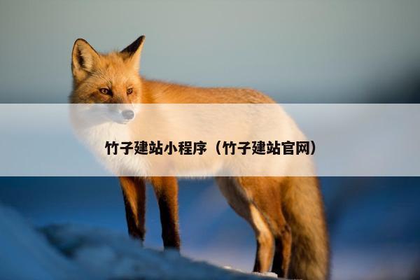 竹子建站小程序（竹子建站官网）